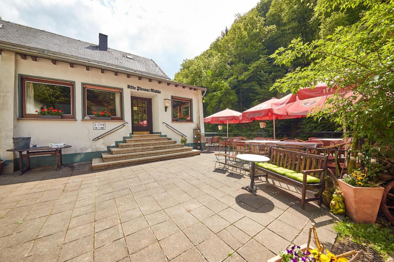 Ferienwohnung "Alte Pleiner Muehle" Extérieur photo